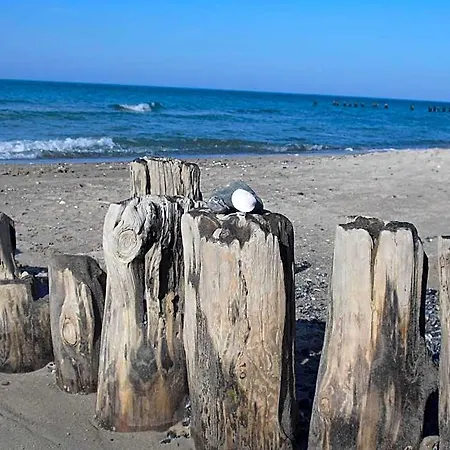 Zur Ostsee